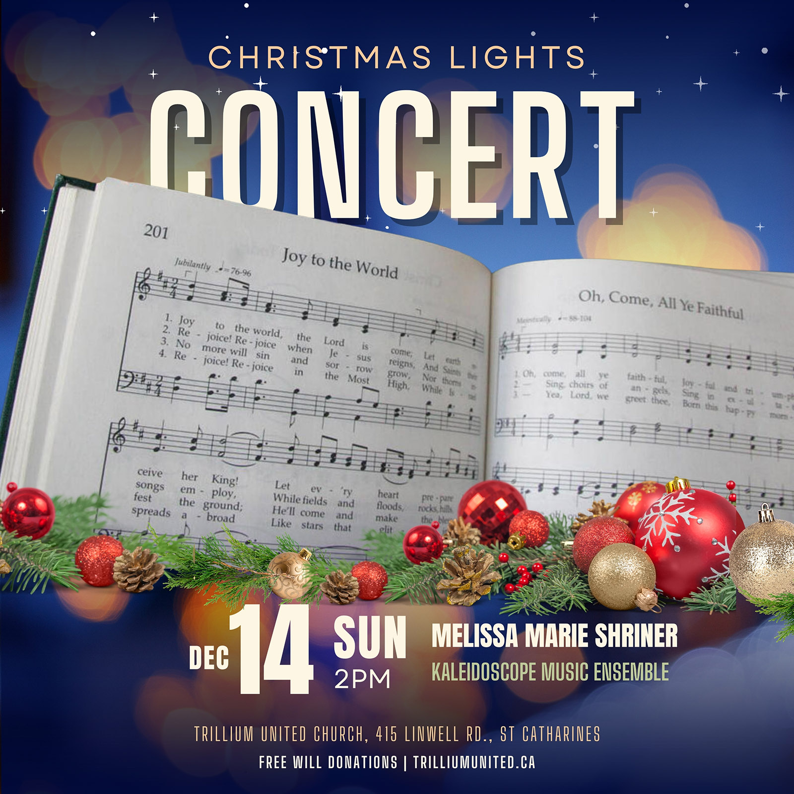 Christmas Lights Concert