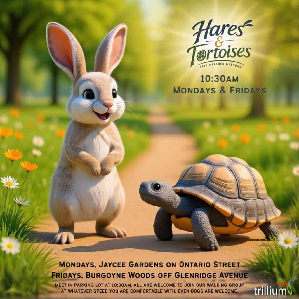 2026 Hares & Tortoise poster square